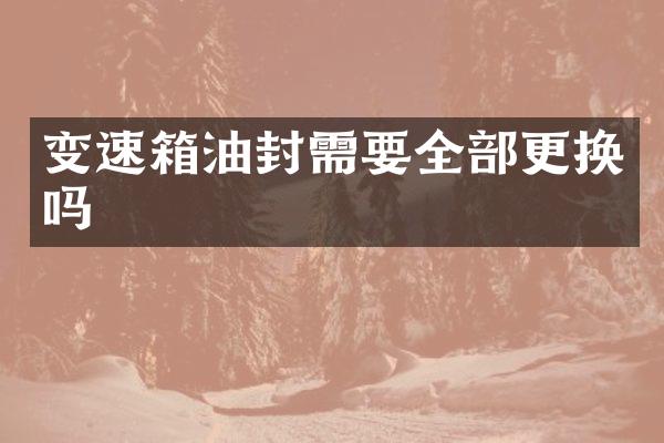 变速箱油封需要全部更换吗