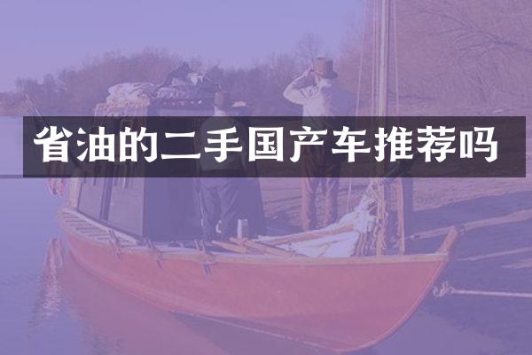 省油的二手国产车推荐吗