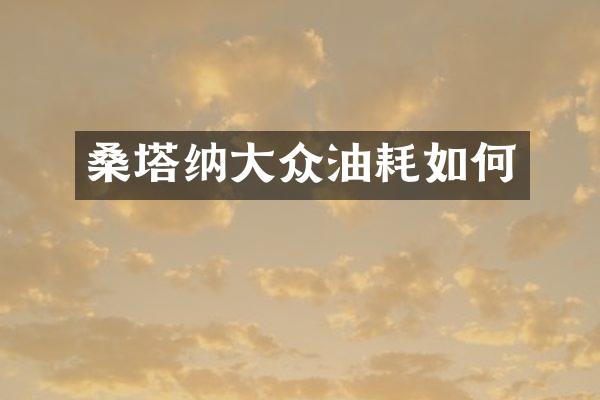 桑塔纳大众油耗如何