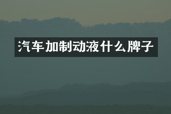 汽车加制动液什么牌子