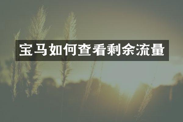 宝马如何查看剩余流量