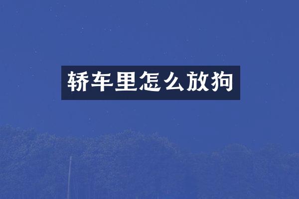 轿车里怎么放狗