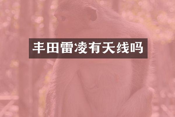 丰田雷凌有天线吗