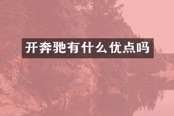 开奔驰有什么优点吗