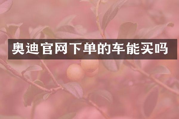 奥迪官网下单的车能买吗