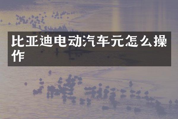 比亚迪电动汽车元怎么操作