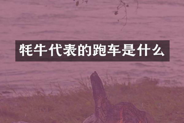 牦牛代表的跑车是什么