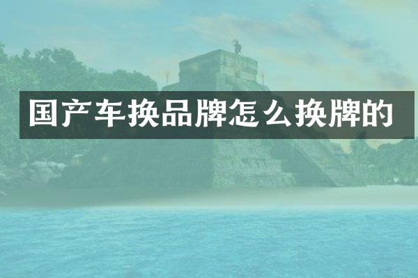 国产车换品牌怎么换牌的