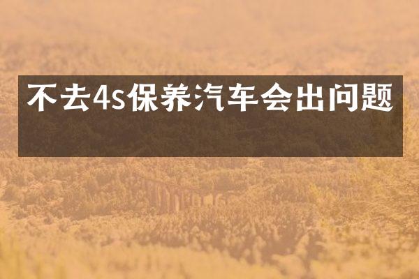 不去4s保养汽车会出问题吗
