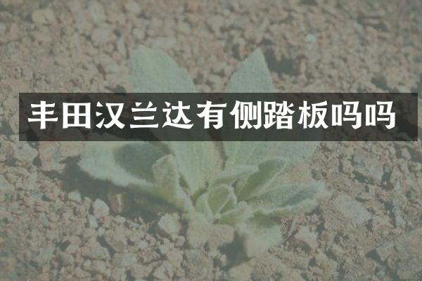 丰田汉兰达有侧踏板吗吗