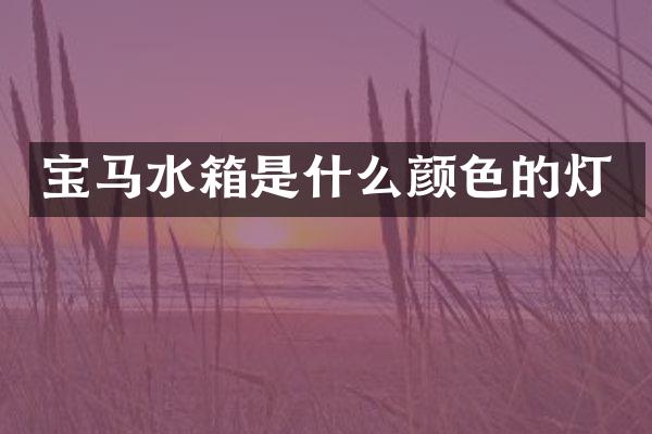 宝马水箱是什么颜色的灯