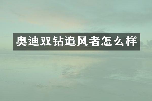 奥迪双钻追风者怎么样