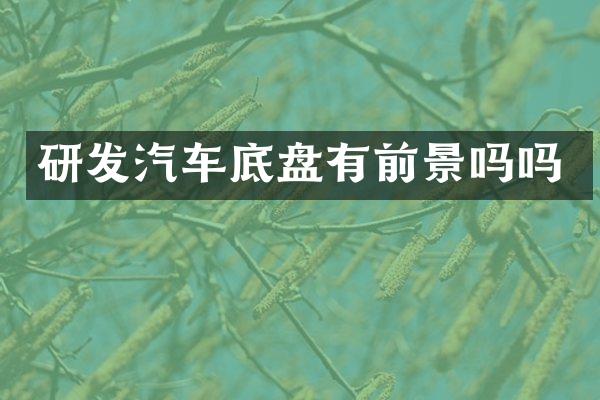 研发汽车底盘有前景吗吗