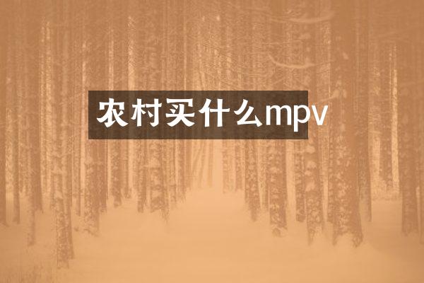 农村买什么mpv