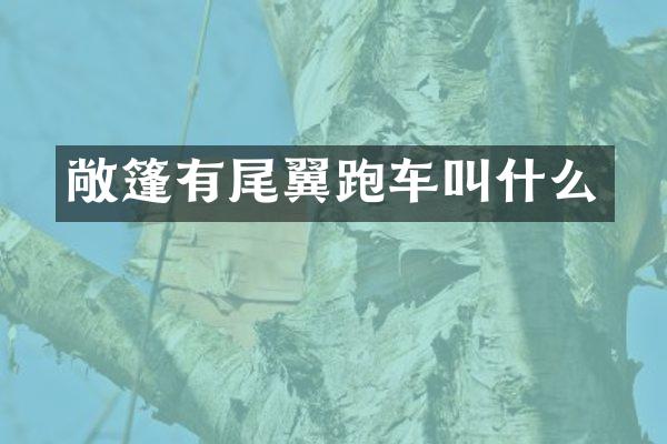 敞篷有尾翼跑车叫什么