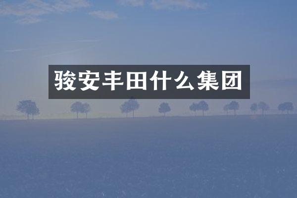 骏安丰田什么集团