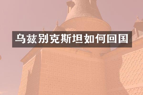 乌兹别克斯坦如何回国