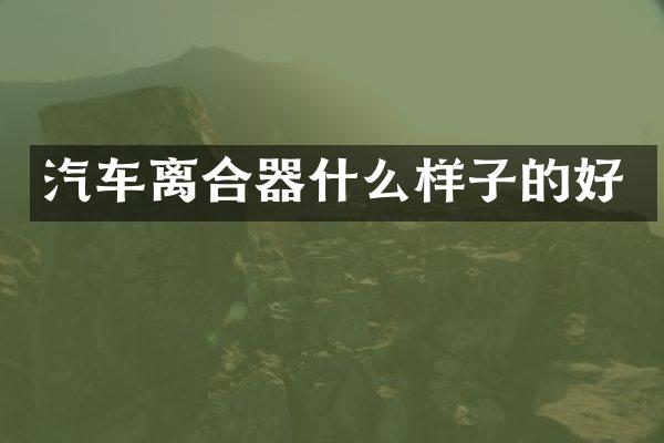 汽车离合器什么样子的好