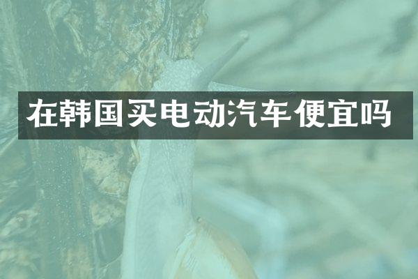 在韩国买电动汽车便宜吗