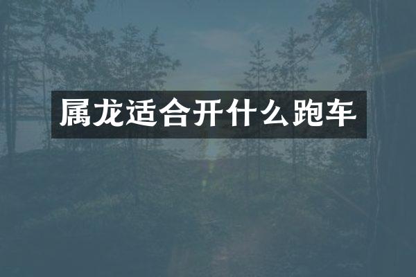 属龙适合开什么跑车