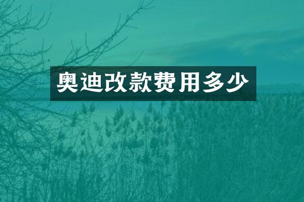 奥迪改款费用多少