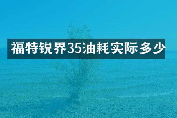 福特锐界35油耗实际多少