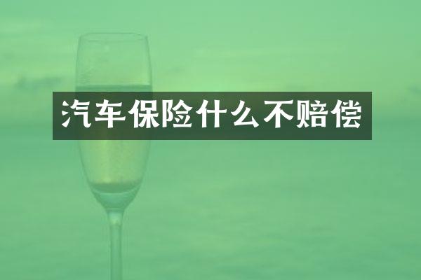 汽车保险什么不赔偿