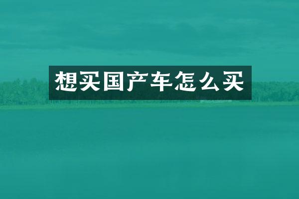 想买国产车怎么买