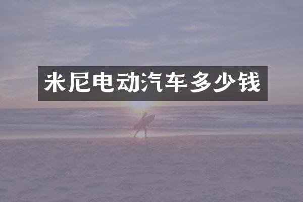 米尼电动汽车多少钱