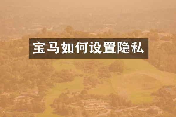 宝马如何设置隐私