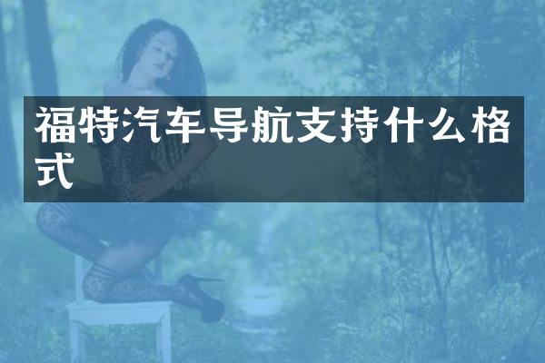 福特汽车导航支持什么格式