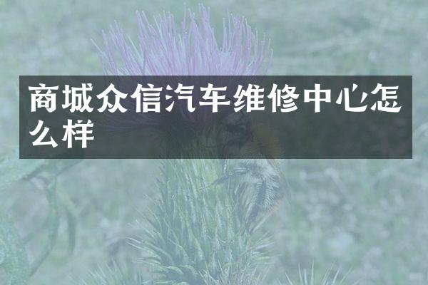 商城众信汽车维修中心怎么样