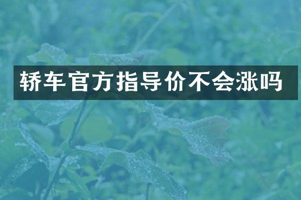 轿车官方指导价不会涨吗