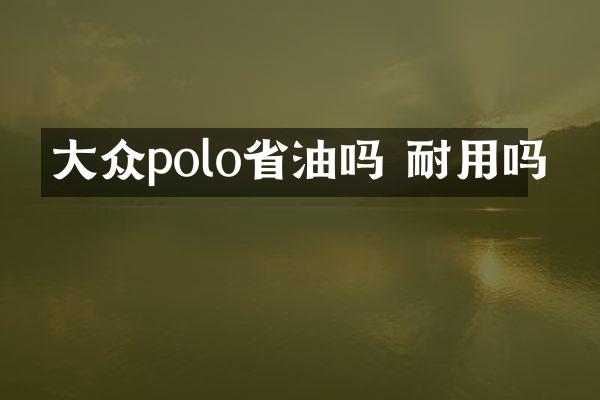 大众polo省油吗 耐用吗