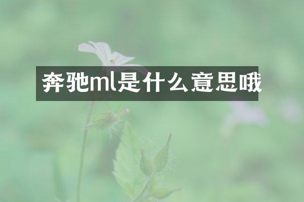 奔驰ml是什么意思哦