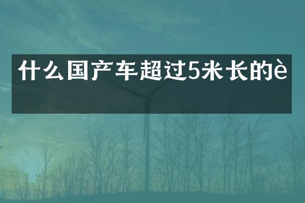 什么国产车超过5米长的车