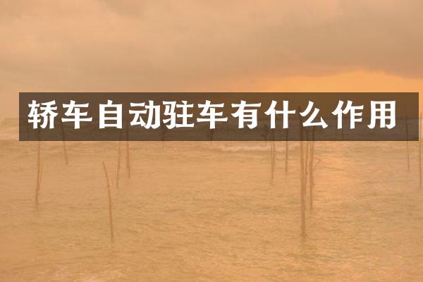 轿车自动驻车有什么作用