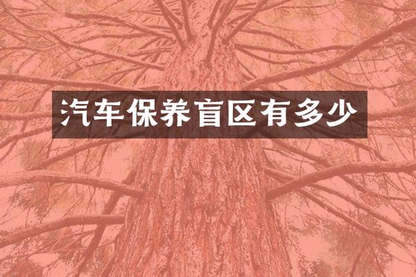 汽车保养盲区有多少