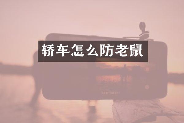 轿车怎么防老鼠