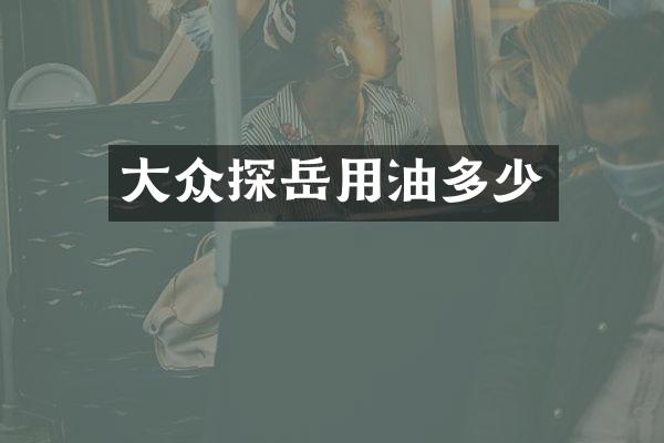 大众探岳用油多少