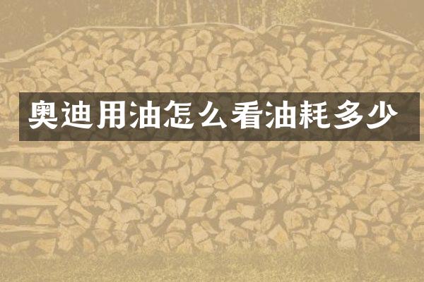 奥迪用油怎么看油耗多少