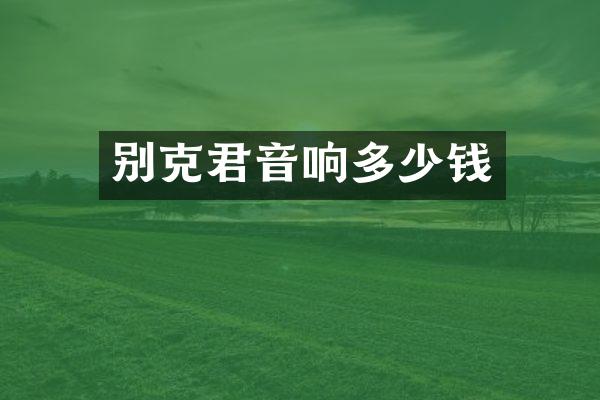 别克君音响多少钱