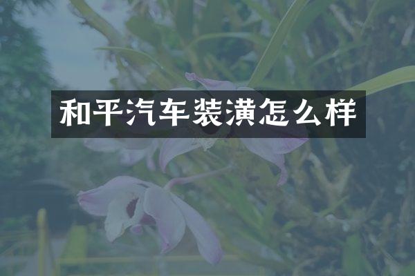 和平汽车装潢怎么样