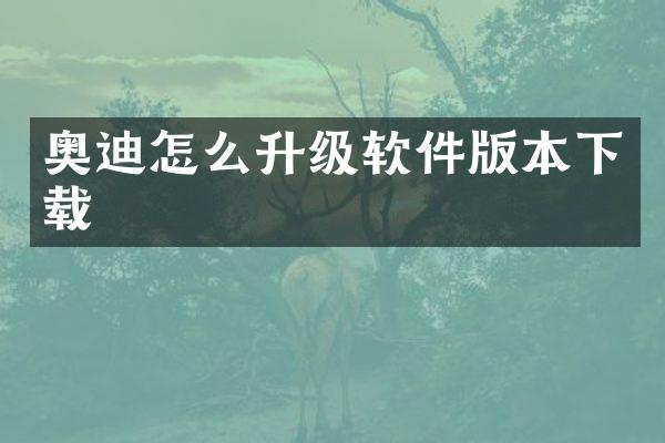 奥迪怎么升级软件版本下载