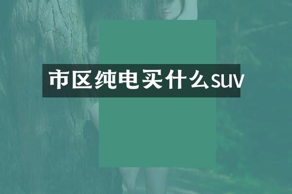 市区纯电买什么suv