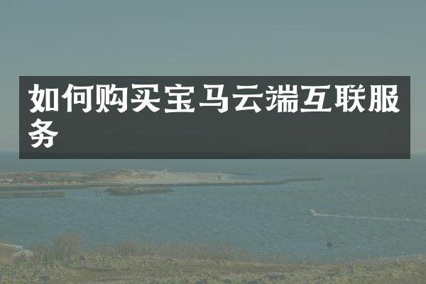 如何购买宝马云端互联服务