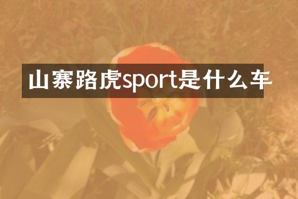 山寨路虎sport是什么车