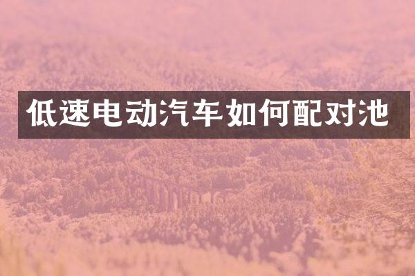 低速电动汽车如何配对池