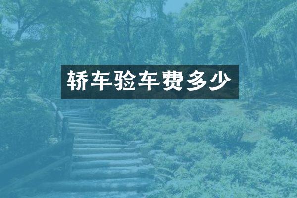 轿车验车费多少