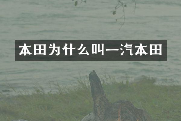 本田为什么叫一汽本田